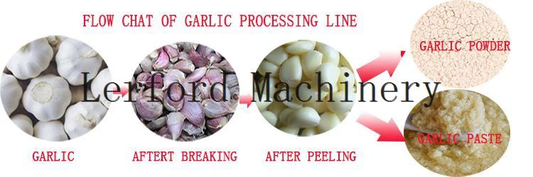 Ginger Garlic Paste Maker Machine Ginger Garlic Paste Maker Machine